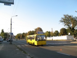 231 КБ