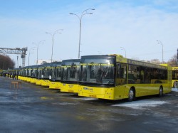229 КБ